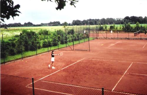 Tennisanlage Sommer 88